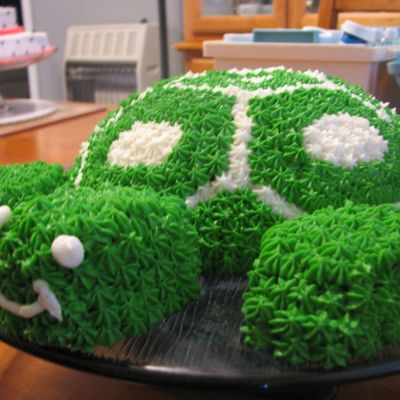 Turtle Cake