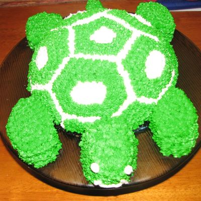 Turtle Cake
