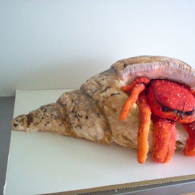 Hermit Crab