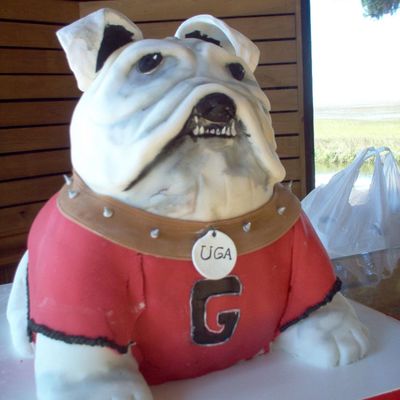Georgia Bulldog Cake