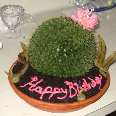 Cactus Cake