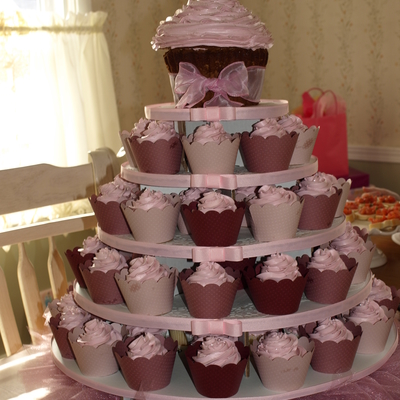 Princess Cupcakes