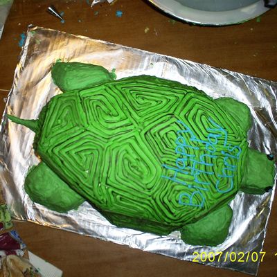 Turtle Birthday Cake