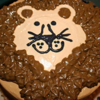 Special Lion Smash Cake