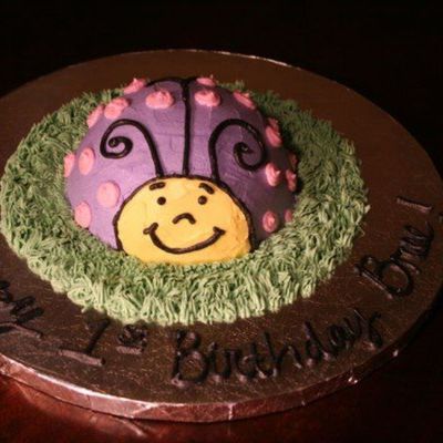 Ladybug Smash Cake