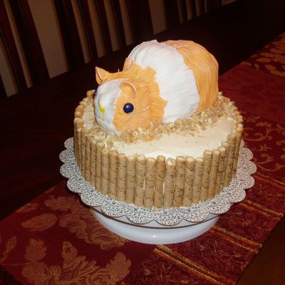 Guinea Pig Birthday Cake