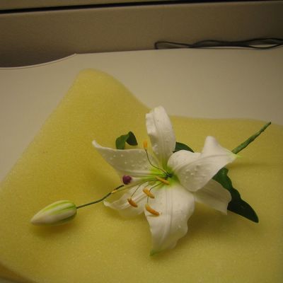 My First Gumpaste Lily