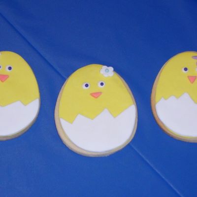Chick In Shell Cookies