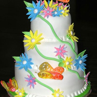 Butterflies In Spring