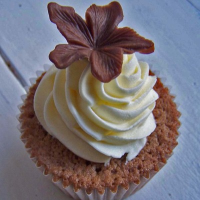 Chcolate And Vanilla