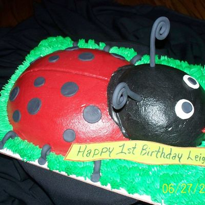 Little Lady Bug