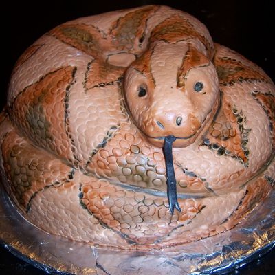 Snake Cake