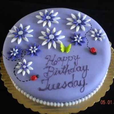 Purple Daisies For Tuesday