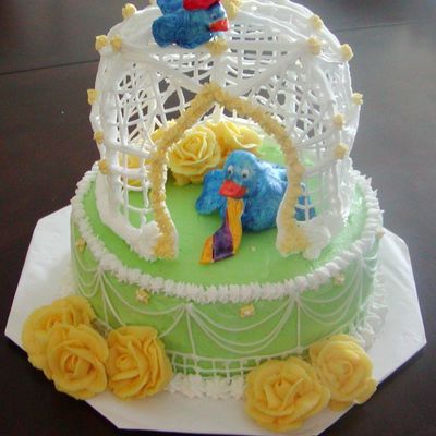 Father's Day Father And Son Birdcage Cake!