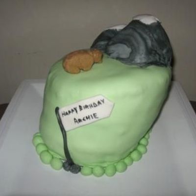 Rocky Mountain Park Scene