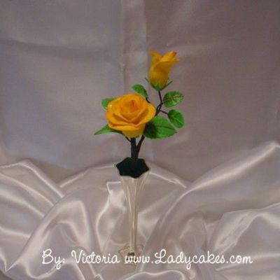Yellow Rose