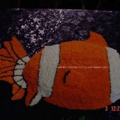 Football Pan Clown Fish