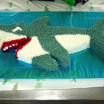 Shark Cake