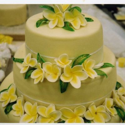 Close Up Of Plumeria Wedding Cake