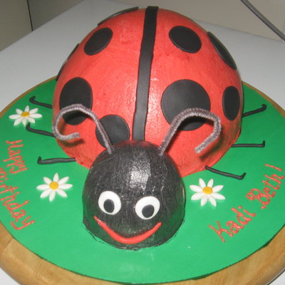 Lady Bug