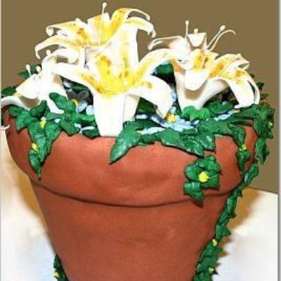 Flower Pot