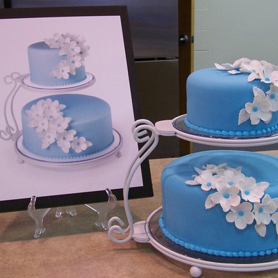 Wilton Cake