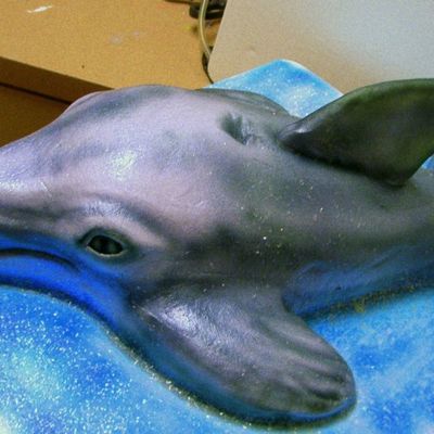 Dolfin