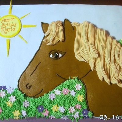 Birthday Horse Cake