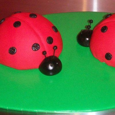 Ladybugs For My Sister