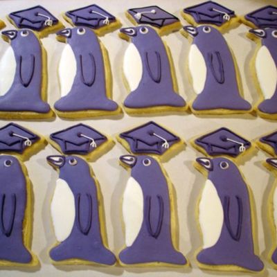 Penguin Procession