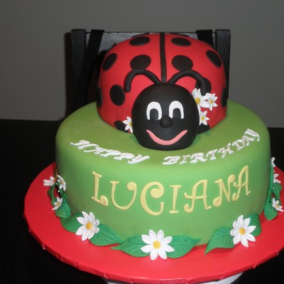 Lady Bug Birthday Cake