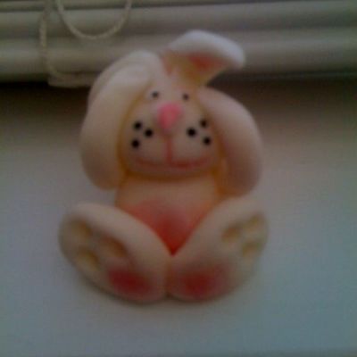 Silly Rabbit!