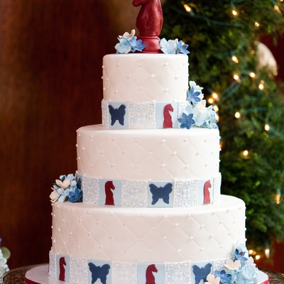 Butterflies And Knights