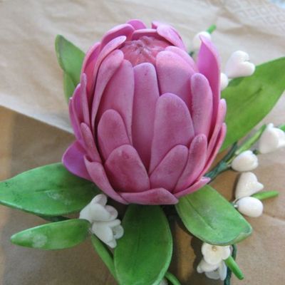 Protea-Australian Wildflower