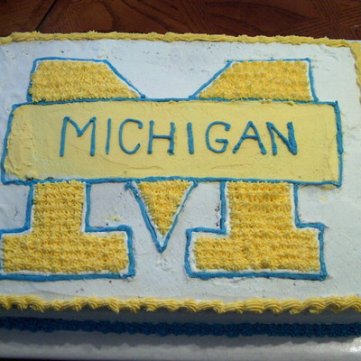 Michigan Cake