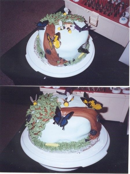 Bug Cake