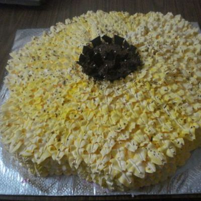 Sunflower Shape