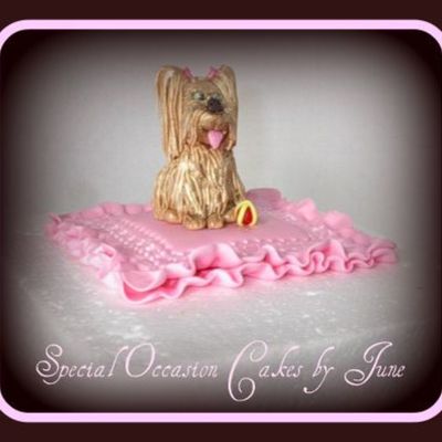 Little Dog On A Pillow