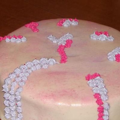 My First Fondant Covered Cake!