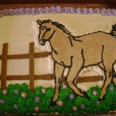 Happy Birthday Shelia