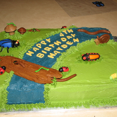 Hayden's Birthday Cake