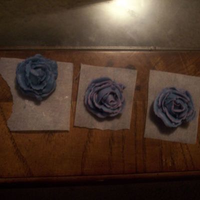 Practice Roses 1