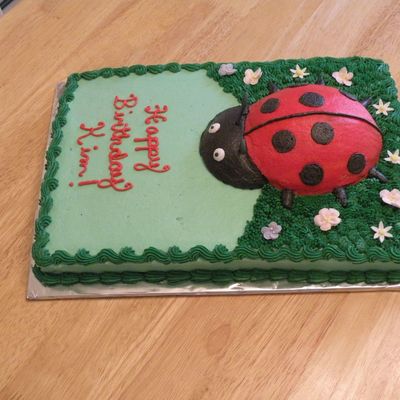 Ladybug Cake