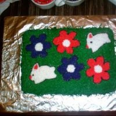 One Of My First Cakes