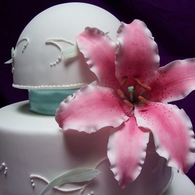 Stargazer Lily