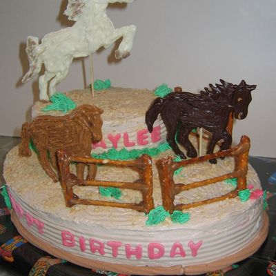 Horse Corral Birthday Cake