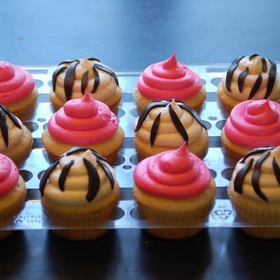 Zebra And Hot Pink Cupcakes