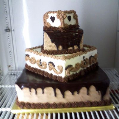 Chocolate Square Cake