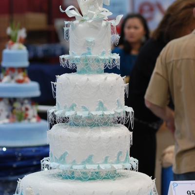 Of Seashells & Unicorns