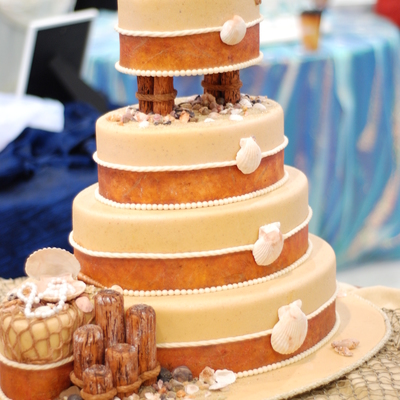 Seashells And Beach Wood